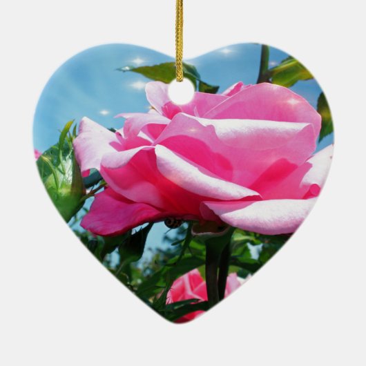 Das herrliche Rosa erhob sich am blauen Himmel. Bl Keramik Ornament (Hinten)