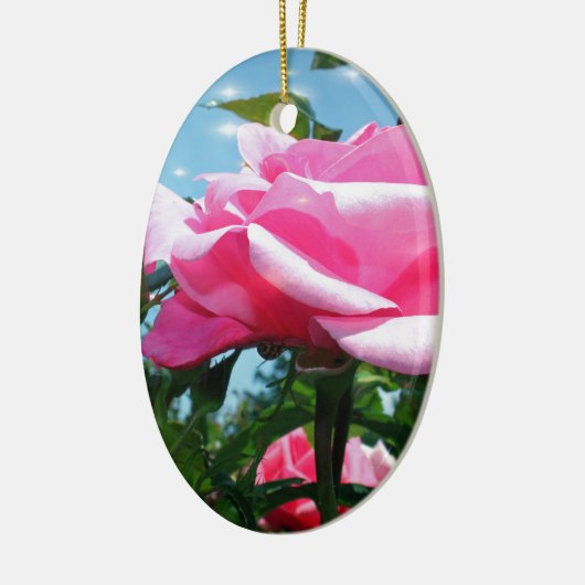 Das herrliche Rosa erhob sich am blauen Himmel. Bl Keramik Ornament (Links)