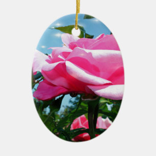 Das herrliche Rosa erhob sich am blauen Himmel. Bl Keramik Ornament