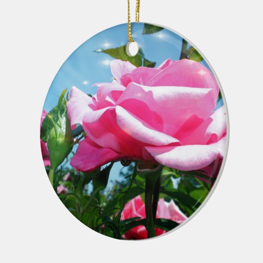 Das herrliche Rosa erhob sich am blauen Himmel. Bl Keramik Ornament (Links)