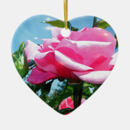 Das herrliche Rosa erhob sich am blauen Himmel. Bl Keramikornament