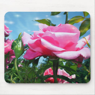 Das herrliche Rosa erhob sich am blauen Himmel. Bl Mousepad