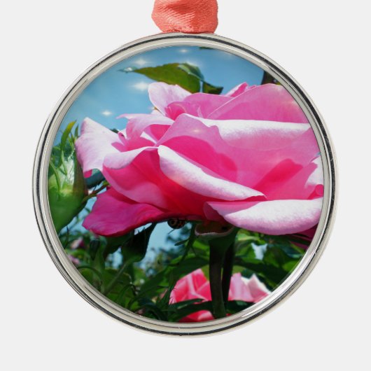 Das herrliche Rosa erhob sich am blauen Himmel. Bl Ornament Aus Metall (Vorne)