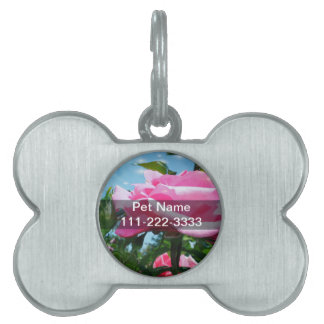 Das herrliche Rosa erhob sich am blauen Himmel. Bl Tiermarke