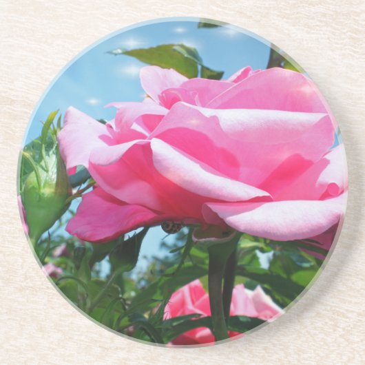 Das herrliche Rosa erhob sich am blauen Himmel. Bl Untersetzer (Vorne)