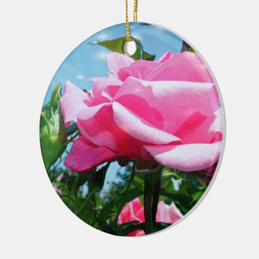 Das herrliche Rosa erhob sich am blauen Himmel. gl Keramik Ornament (Links)