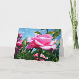 Das herrliche Rosa erhob sich in blauem Himmel. Bl Feiertagskarte