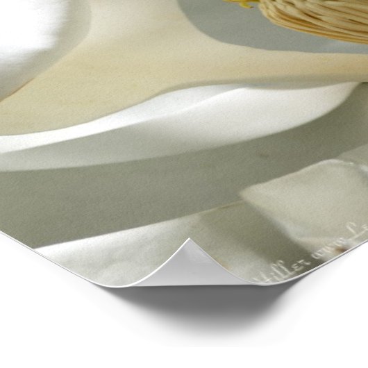 Das Herz des Posters Südmagnolien Poster (Ecke)