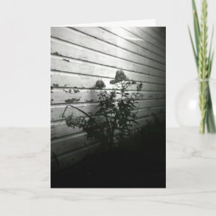 Das Herz fragt Vergnügen zuerst Karte