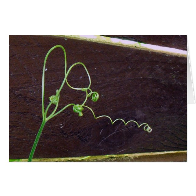 Das Herz-Schnüre der Natur (Vorderseite (Horizontal))