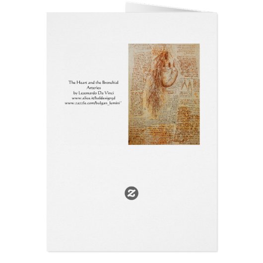 Das Herz und das Bronchial Arteries Pergament (Hinten)