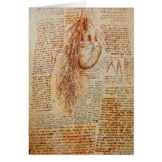 Das Herz und das Bronchial Arteries Pergament (Vorne)