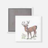 Das Hirsch Magnet (Vorderseite/Rückseite)