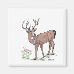 Das Hirsch Magnet