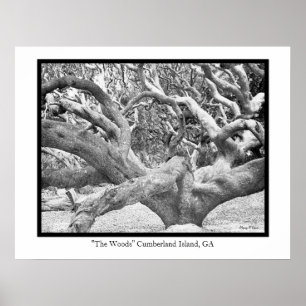 "Das Holz-" Cumberland-Insel, GA Poster