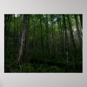 Das Holz Poster