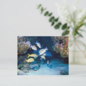 DAS HOTEL IN DER WALL POSTCARD POSTKARTE (Stehend Vorderseite)