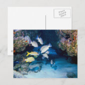 DAS HOTEL IN DER WALL POSTCARD POSTKARTE (Vorne/Hinten)