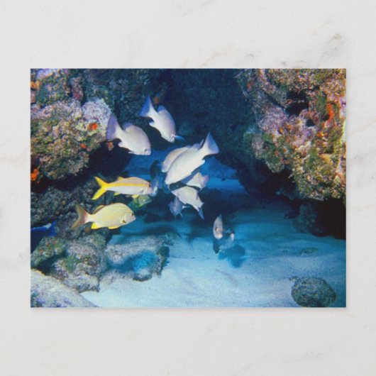 DAS HOTEL IN DER WALL POSTCARD POSTKARTE (Vorderseite)