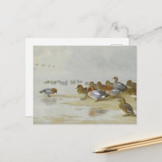 Das Hotel ist sehr gepflegt und Aquamarin am Ufer, Postkarte (Vorderseite/Rückseite Beispiel)