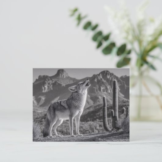 Das Howling von Coyote in der Wüstenlandschaft Postkarte (Stehend Vorderseite)