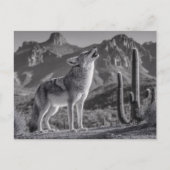 Das Howling von Coyote in der Wüstenlandschaft Postkarte (Vorderseite)