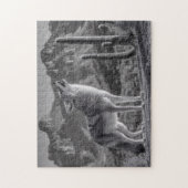Das Howling von Coyote in der Wüstenlandschaft Puzzle (Vertikal)