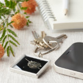 Das Hubble-Weltraumteleskop im Orbit über der Erde Schlüsselanhänger (Seite)