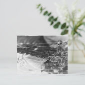 Das hübsche Wasser Postkarte (Stehend Vorderseite)