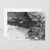 Das hübsche Wasser Postkarte (Vorne/Hinten)