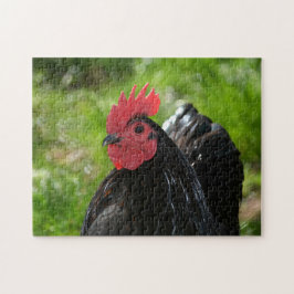 Das Huhn Puzzle