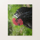 Das Huhn Puzzle (Vertikal)