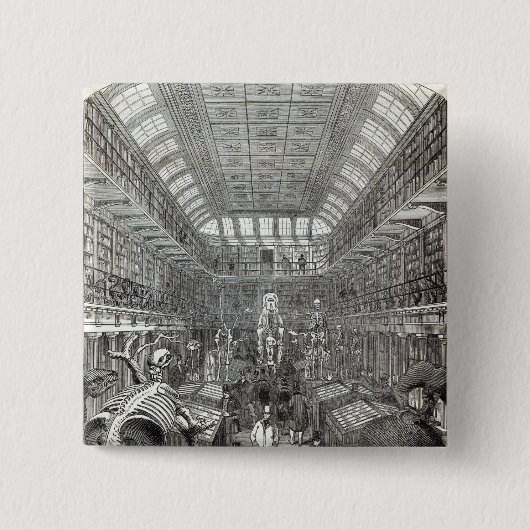 Das Hunterian Museum Button (Vorderseite)