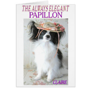 DAS IMMER ELEGANTE PAPILLON
