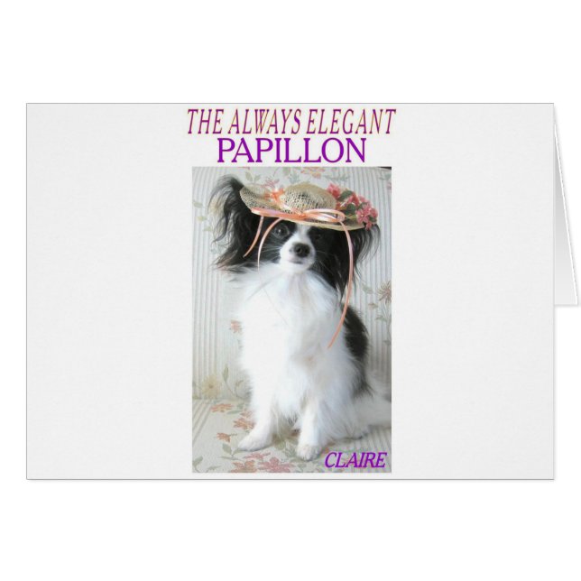 DAS IMMER ELEGANTE PAPILLON (Vorderseite (Horizontal))