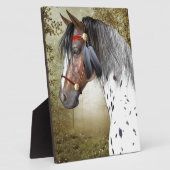 Das indische Pony Fotoplatte (Seite)