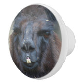 Das intensive Schwarze Lama-Gesicht Nah Keramikknauf (Rechts)