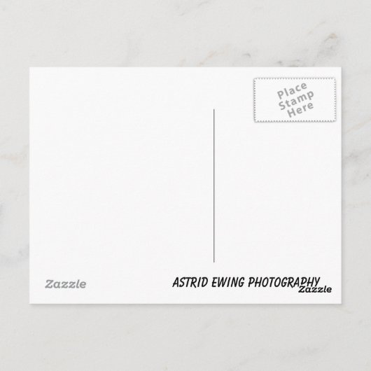 Das ist das Leben... Postkarte (Rückseite)