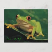 Das ist das Leben Postkarte (Vorderseite)