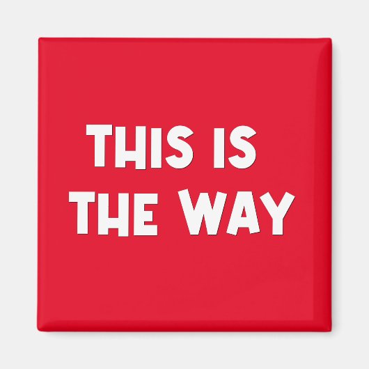 Das ist das Way Magnet (Vorne)