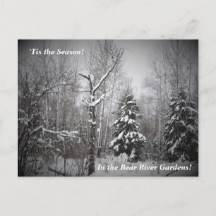 'Das ist der Winter der Jahreszeit im Bärengarten Postkarte