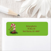 'Das ist die Jahreszeit Candy Cane (Insitu)