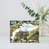 'Das ist die Jahreszeit nach Norden, Winterurlaub Postkarte (Stehend Vorderseite)