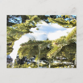 'Das ist die Jahreszeit nach Norden, Winterurlaub Postkarte