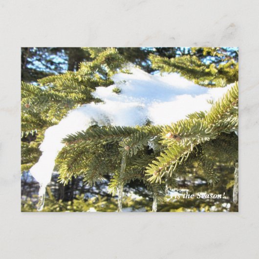 'Das ist die Jahreszeit nach Norden, Winterurlaub Postkarte (Vorderseite)