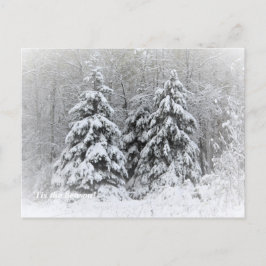 'Das ist die Jahreszeit nach Norden, Winterurlaub Postkarte