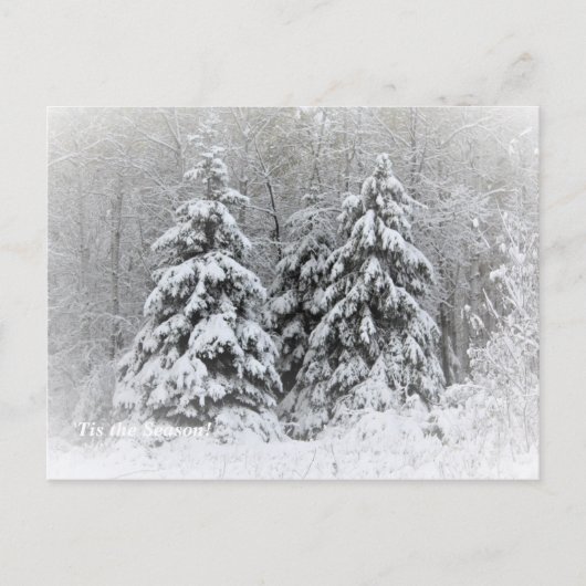 'Das ist die Jahreszeit nach Norden, Winterurlaub Postkarte (Vorderseite)