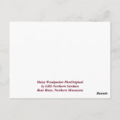 'Das ist die Jahreszeit nach Norden, Winterurlaub Postkarte (Rückseite)