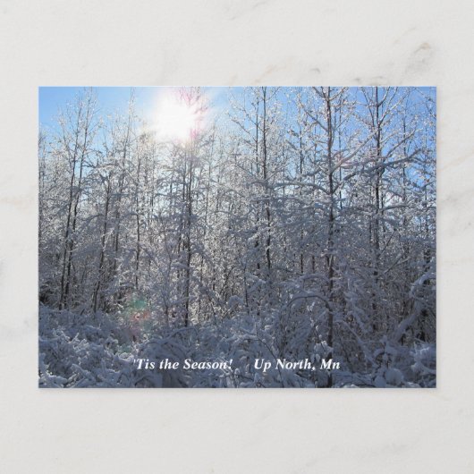 'Das ist die Jahreszeit nach Norden, Winterurlaub  Postkarte (Vorderseite)