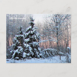 'Das ist die Jahreszeit nach Norden, Winterurlaub Postkarte